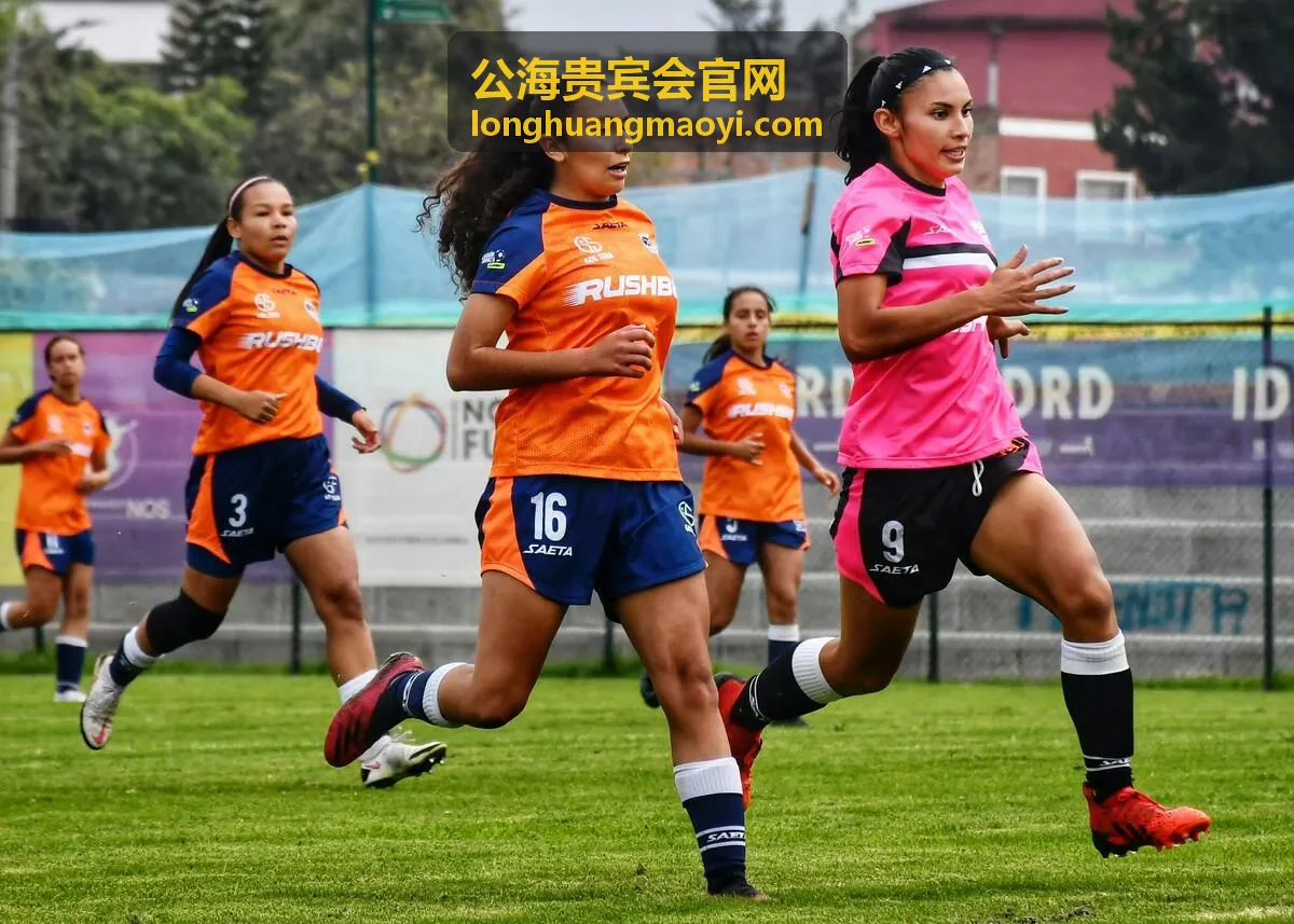 公海贵宾会高端商务服务