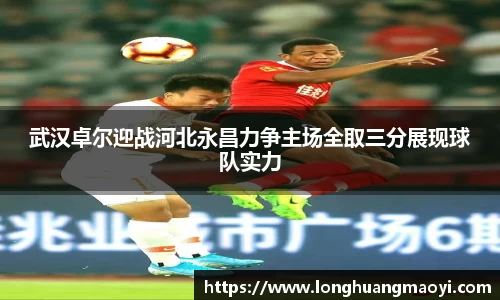 三亿体育官网